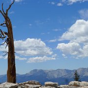 SouthernSierra 722 : SouthernSierra